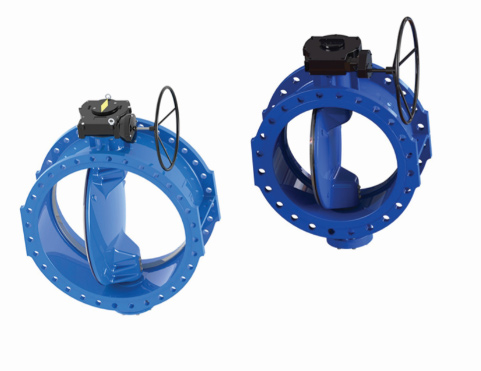 Double Offset Butterfly Valve