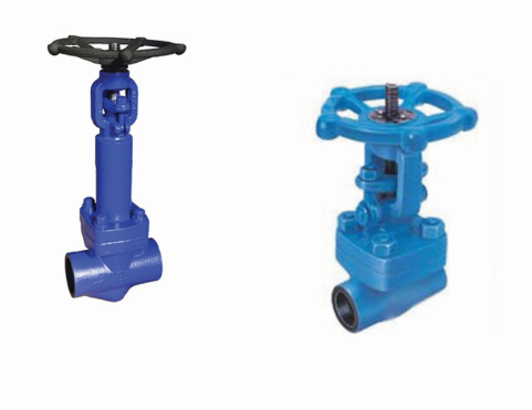 Forged Gate Valve