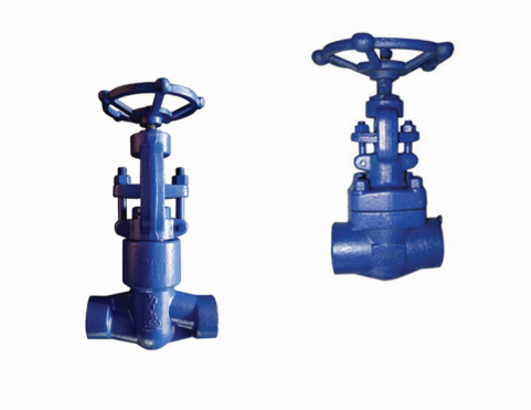 Forged Globe Valve
