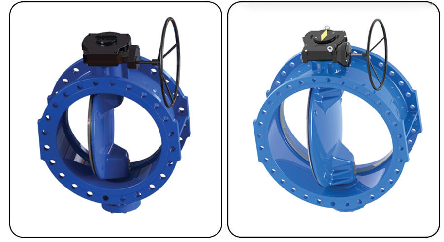 Double Offset Butterfly Valve
