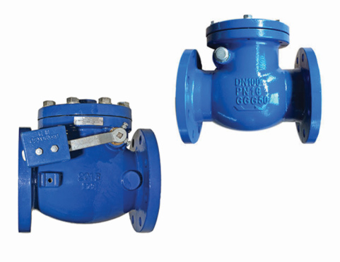 Swing Check Valve